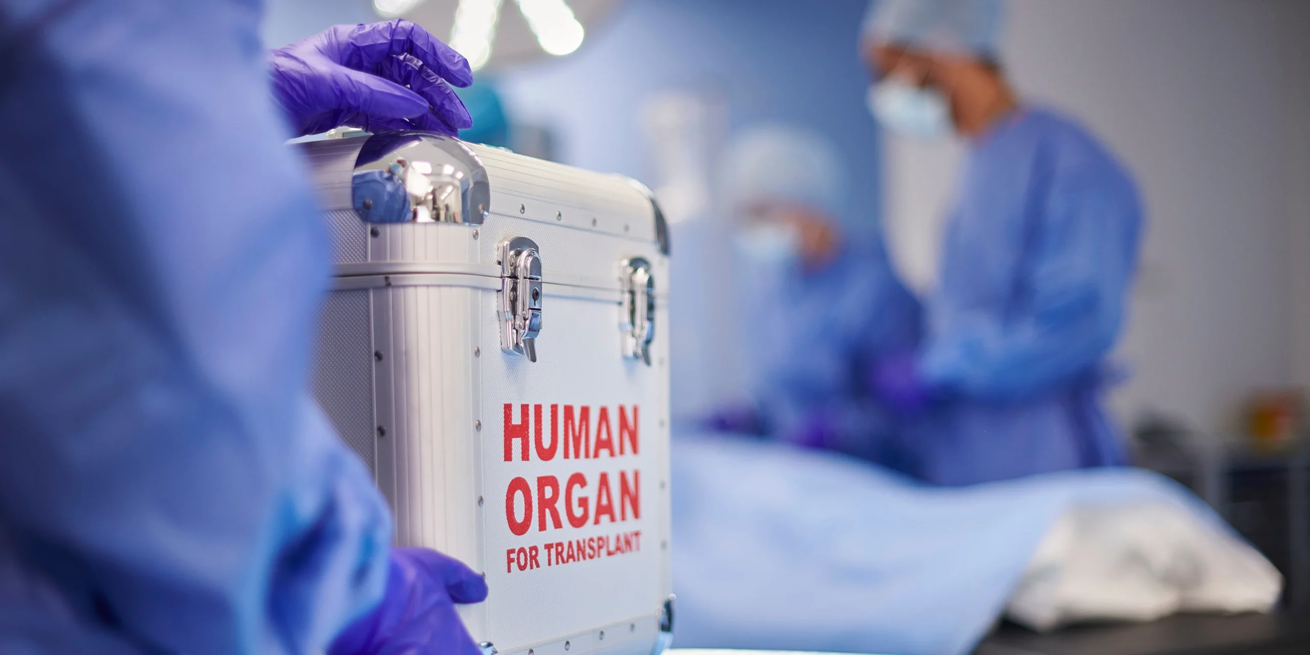 Bioprinting Organs: The Future of Transplants
