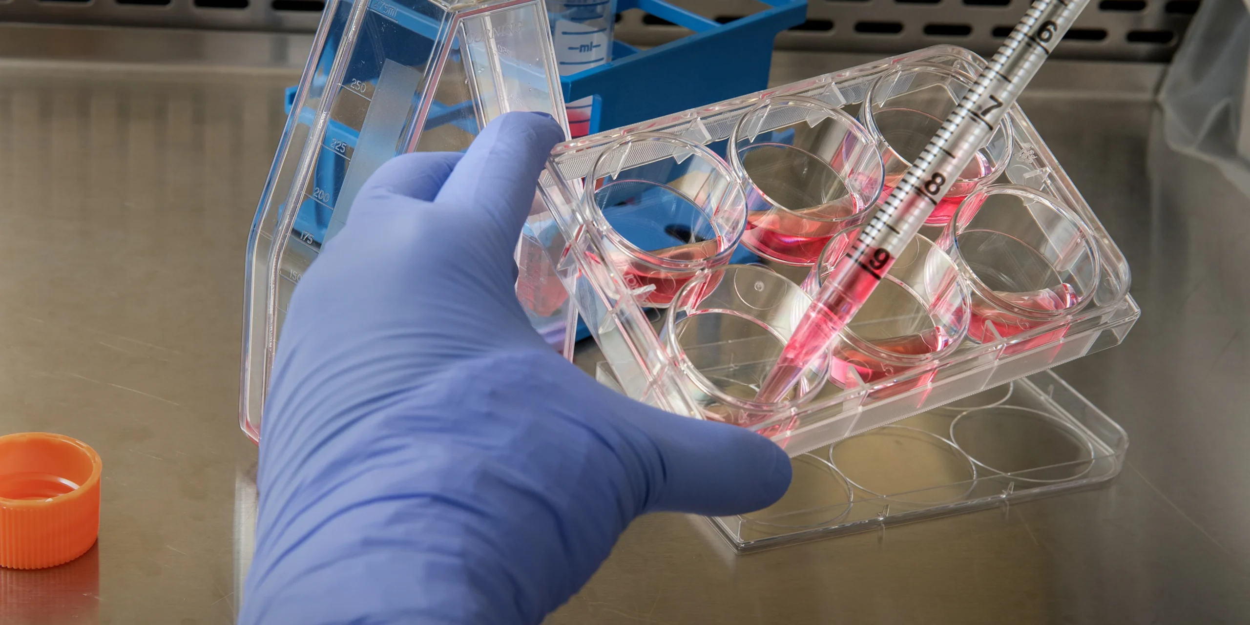 Oligonucleotides: The Tiny Molecules Transforming Modern Medicine