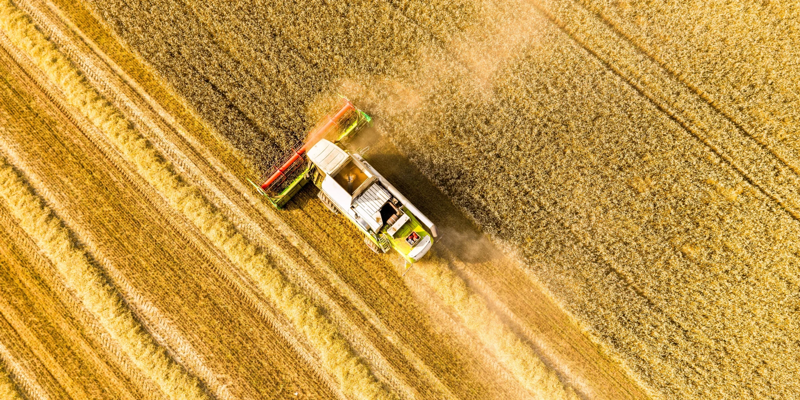 Robots in Agriculture: Feeding the World With Automation